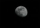 lune06020901