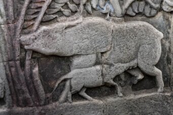 Angkor Thom et le Bayon null