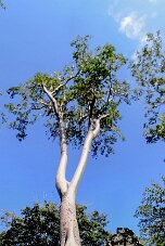 20251108_142707_IMG null