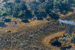 L'okavango vu du ciel Botswna - Maun