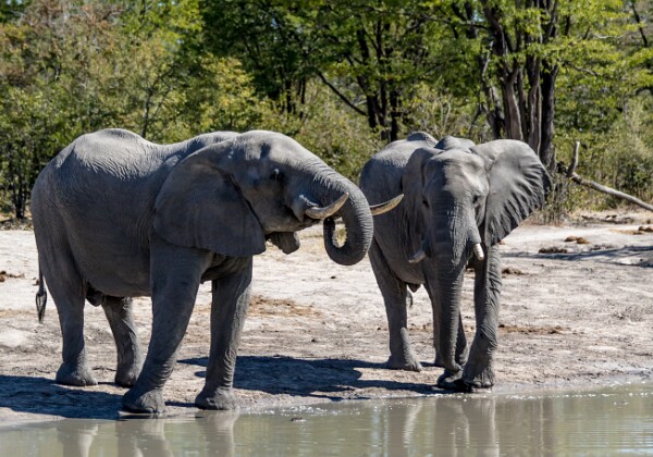 20150621 - Morémi - Kwaï River