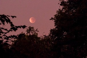 Eclipse de Lune du 16 Mai 2022 Chobe River