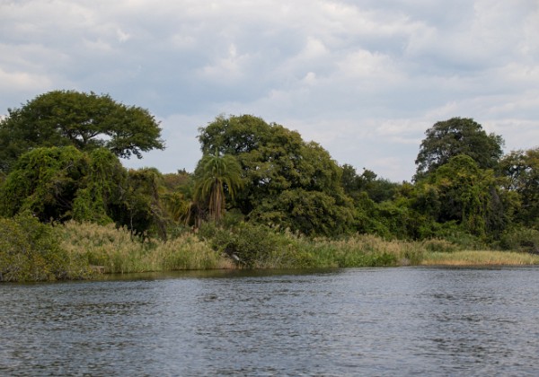 04-Chobe River