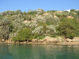 Moulay-Bousselham