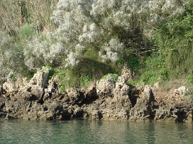 Moulay-Bousselham