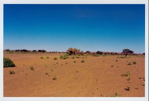 mauritanie20040119