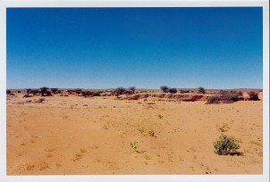 mauritanie20040131