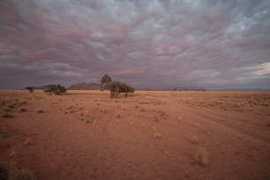 Namib desert Sesriem