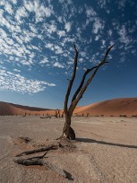 Dead vlei - Sossusvlei