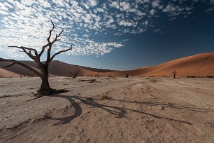 Dead vlei - Sossusvlei