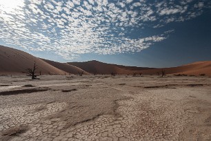 Dead vlei - Sossusvlei