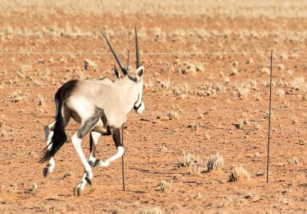 02 - Monts Erongo