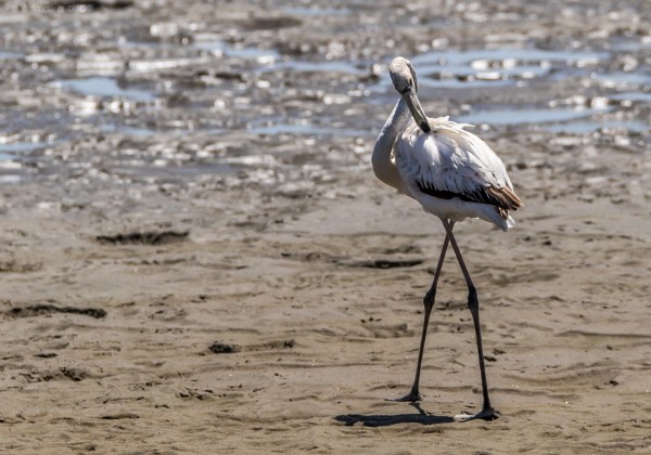 03-Walvis Bay