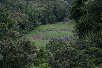 20231204-1445-7D2_4965 null