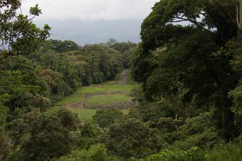 20231204-1445-7D2_4966 null