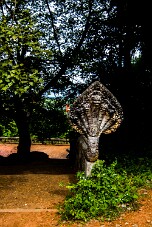 20251105_112503_7393 null