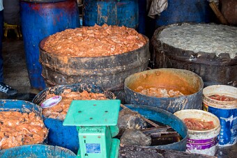 20251106_114644_7494 null