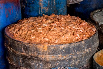 20251106_115012_7498 null