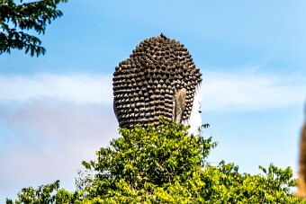 20251106_130704_7572 null