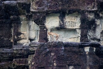 20251107_135938_7605 null