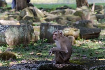 20251108_111715_7795 null