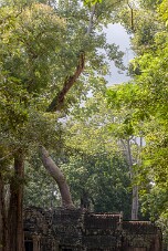 20251108_141324_7818 null