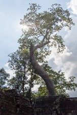 20251108_141541_7821 null