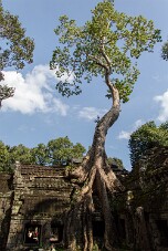 20251108_141849_7827 null