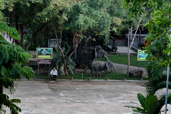 20251108_170911_7904 null