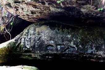 20251109_100643_7922 null