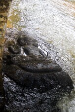 20251109_102707_7950 null