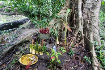 20251109_102839_7952 null