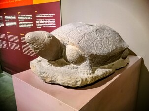 Kurma (avatr de Vishnu) null