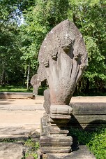 20251110_090310_8064 null