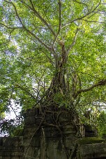 20251110_092044_8091 null