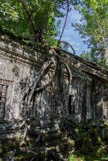 20251110_092413_8096 null