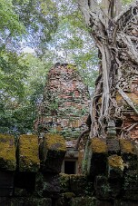 20251110_113630_8119 null