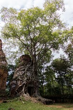 20251110_114503_8127 null