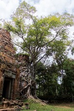 20251110_114539_8128 null