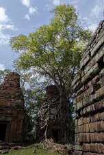 20251110_115314_8132 null