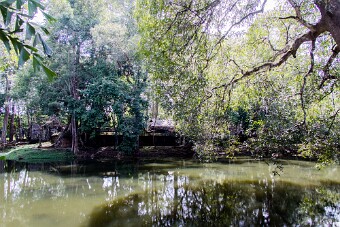 20251110_122547_8143 null