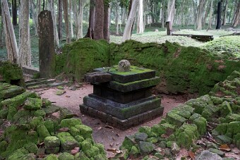 20251111_115310_8413 null