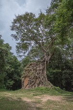 20251111_120343_8437 null