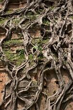 20251111_120359_8441 null