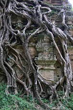 20251111_120617_8455 null