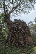 20251111_120631_8457 null