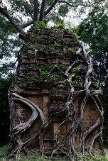 20251111_121119_8486 null