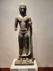 20251113_100227_IMG null