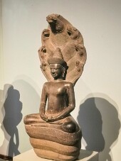 20251113_103443_IMG null