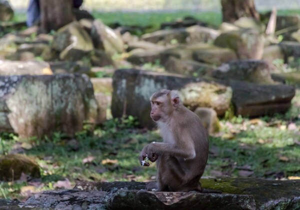 120 Angkor Thom et le Baphong